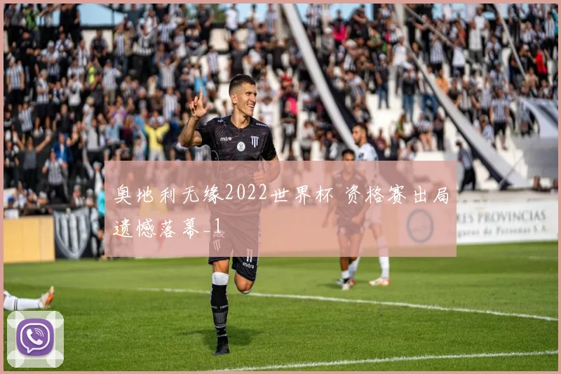 奥地利无缘2022世界杯 资格赛出局遗憾落幕_1
