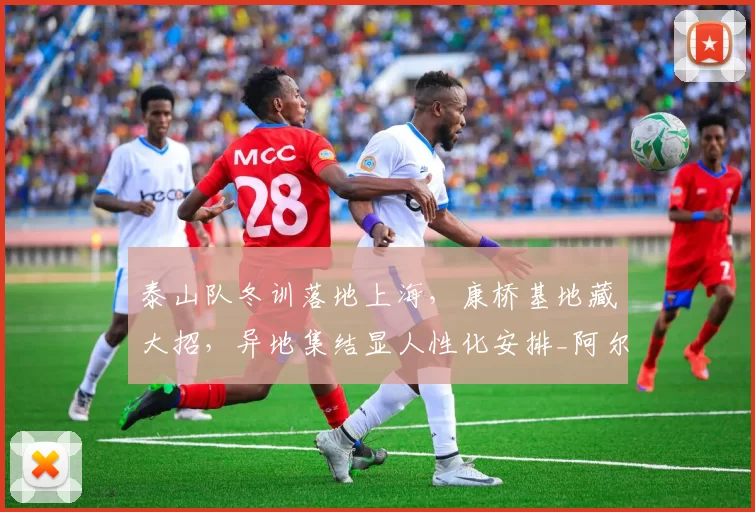 泰山队冬训落地上海,康桥基地藏大招,异地集结显人性化安排_阿尔瓦罗_赛季_外援