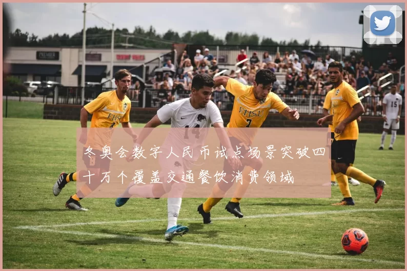 冬奥会数字人民币试点场景突破四十万个覆盖交通餐饮消费领域