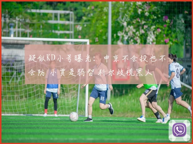 疑似KD小号曝光:申京不会投也不会防 小贾是弱智 科尔歧视黑人
