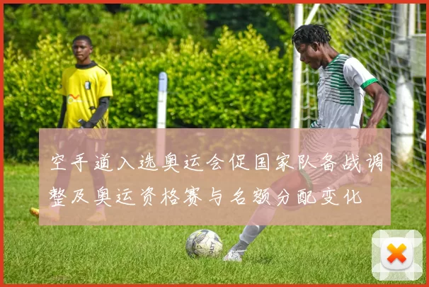 空手道入选奥运会促国家队备战调整及奥运资格赛与名额分配变化