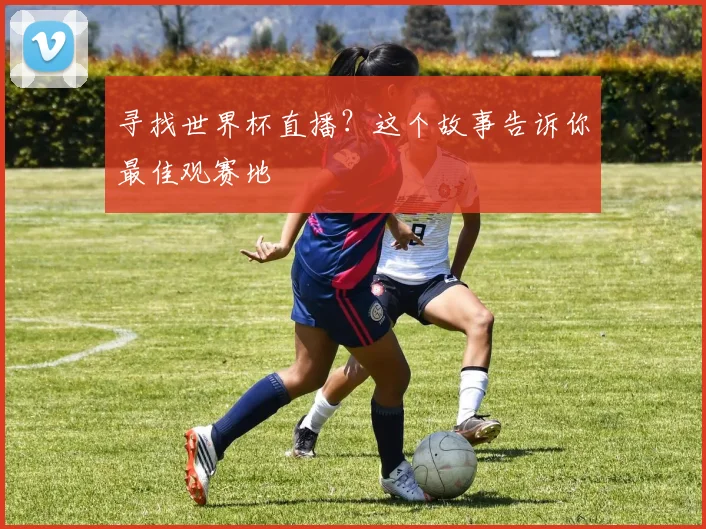 寻找世界杯直播？这个故事告诉你最佳观赛地