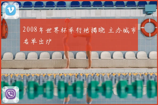 2008年世界杯举行地揭晓 主办城市名单出炉