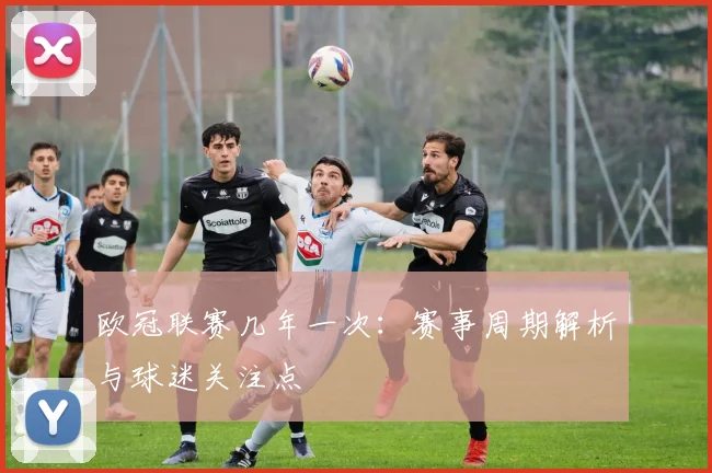 欧冠联赛几年一次：赛事周期解析与球迷关注点