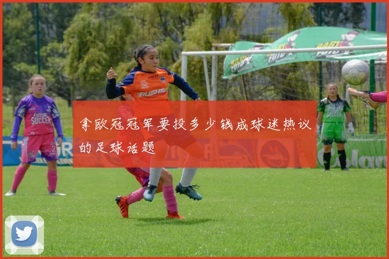 拿欧冠冠军要投多少钱成球迷热议的足球话题