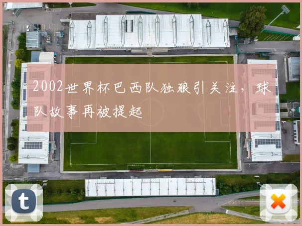 2002世界杯巴西队独狼引关注，球队故事再被提起