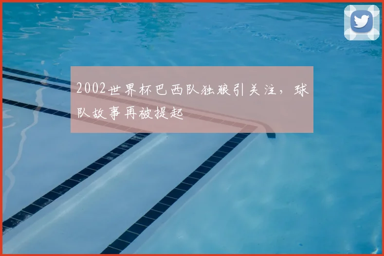 2002世界杯巴西队独狼引关注,球队故事再被提起