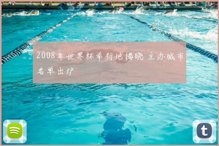 2008年世界杯举行地揭晓 主办城市名单出炉